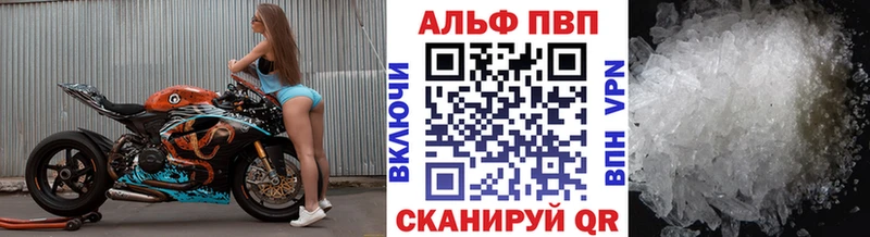 Alfa_PVP крисы CK kraken вход Верещагино