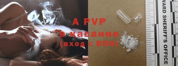 шишки Беломорск