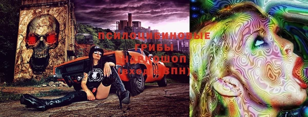 шишки Беломорск