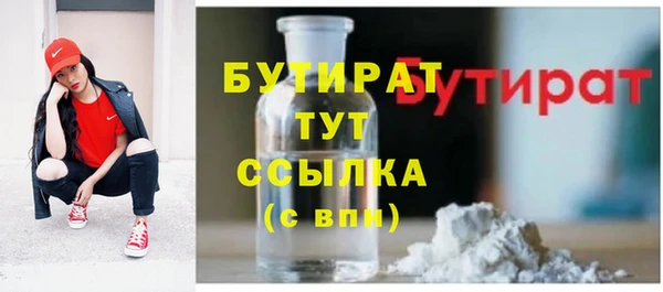 шишки Беломорск