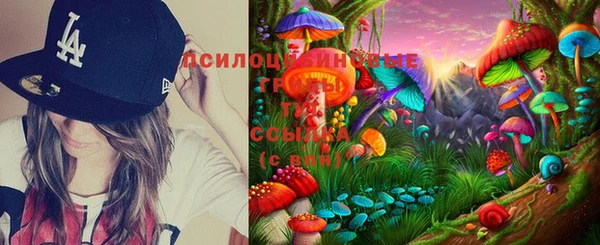 соль курить ск Белокуриха