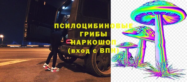 шишки Беломорск