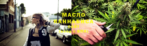 шишки Новодвинск