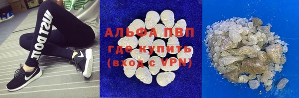 шишки Беломорск