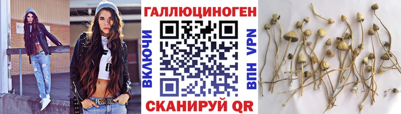 Галлюциногенные грибы Magic Shrooms  Верещагино 